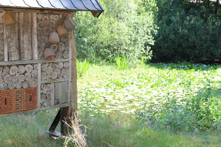 Insektenhaus im Biotop der Horster Schweiz