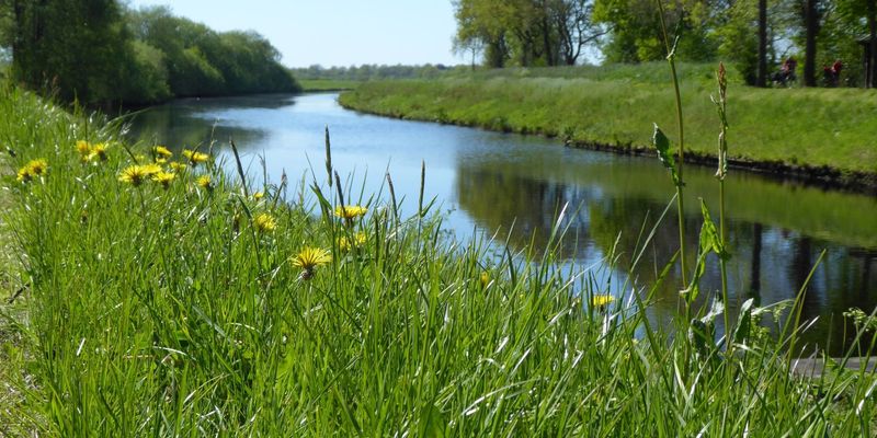 Sommerwiese in Friedeburg-Ostfriesland am Kanal