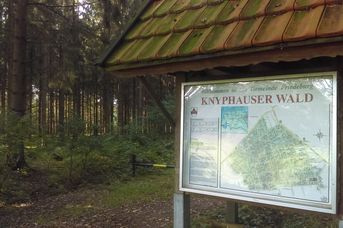 Knyphauser Wald